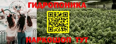 шишки Коммунар