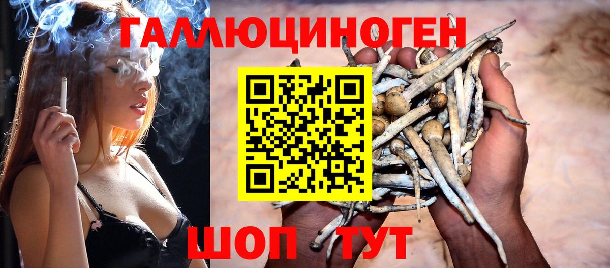 Псилоцибиновые грибы GOLDEN TEACHER  Вход с VPN  Екатеринбург  Псилоцибиновые грибы GOLDEN TEACHER 